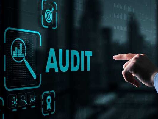 auditing process for beginners